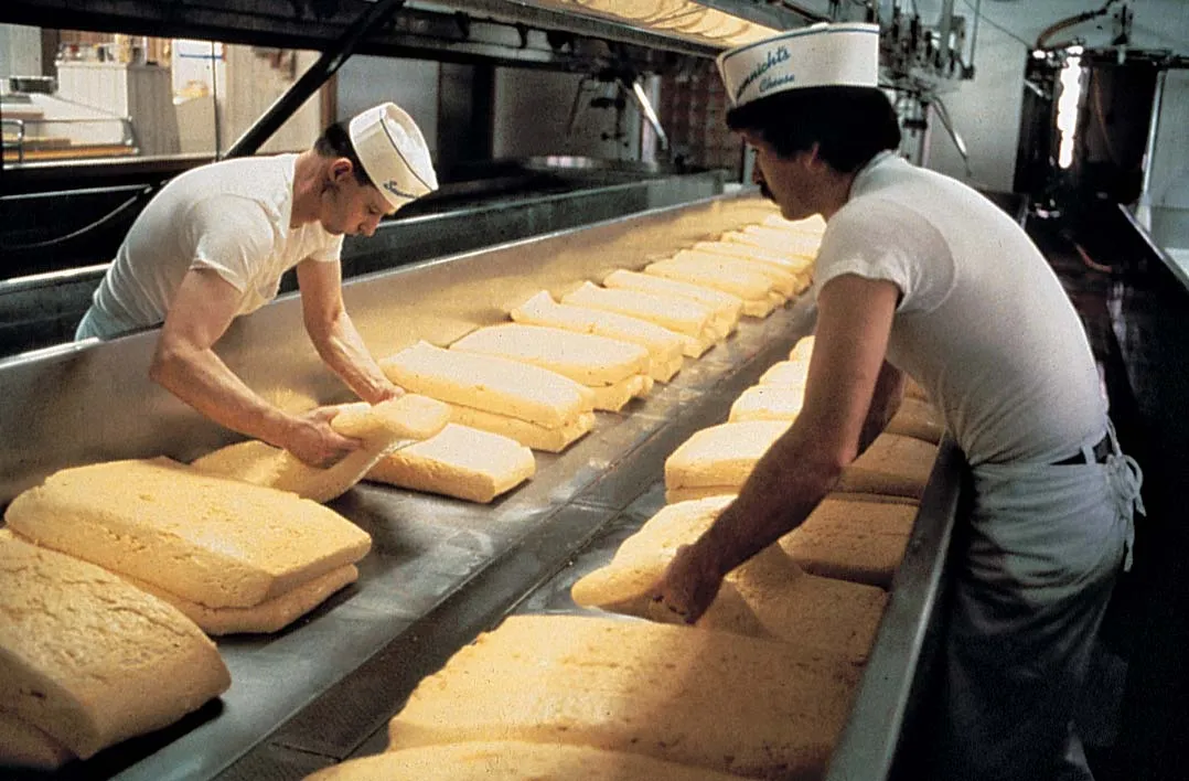 workers making large slabs of cheese